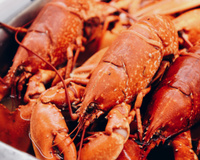 Lagosta caprichada: veja como fazer essa receita deliciosa