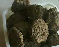 Biscoito de granola, aveia e  linhaça