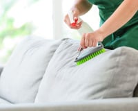Como limpar um sofá de forma rápida e fácil sem lavagem a seco: veja o que adicionar à água