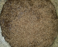 Bolo de chocolate e calda de chocolate