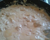 Estrogonofe de frango