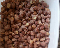 Cri cri (Amendoim açucarado)