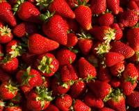 5 alimentos que auxiliam a cicatrização