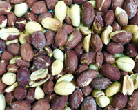 Amendoim torrado na AirFryer da tia Haty