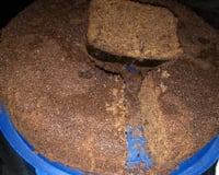 Bolo integral de cacau (sem leite)