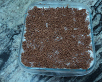 Pavê simples de brigadeiro com chantilly