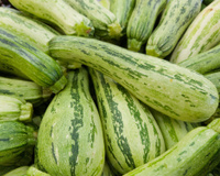 Como armazenar corretamente a abobrinha em casa para que ela dure em perfeitas condições por semanas ou meses