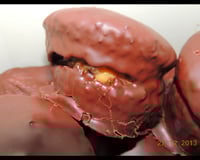 Pão de mel recheado da Zequinha