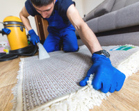 Sou técnico de limpeza de carpetes e garanto: apenas um tipo de tapete pode ser lavado na máquina de lavar roupa