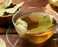 O que acontece se você tomar chá de louro todos os dias: entenda benefícios, efeitos colaterais e saiba como fazer a infusão