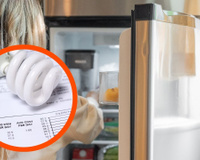 Minha conta de luz estava altíssima, e eu descobri que o culpado era a geladeira com esse truque