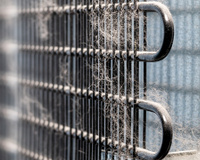 Nem água, nem pano úmido: como limpar as grades da geladeira sem prejudicar o eletrodoméstico