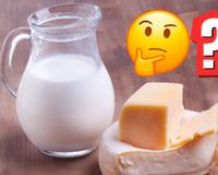 Nem leite, nem queijo: esse alimento tem muito mais cálcio e é ótimo para um lanche saudável