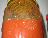 Molho de pimenta vermelha