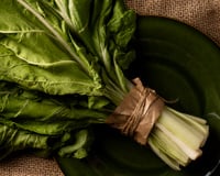 Não jogue fora o talo da couve: vi na internet como cultivar uma cabeça inteira em casa (dois fatores são essenciais)