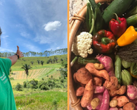 Fazenda de Marcos Palmeira em Teresópolis transforma antiga pastagem em modelo de agrofloresta e aposta na produção sustentável sem agrotóxicos, com queijos, laticínios e cafés orgânicos comercializados no Rio de Janeiro