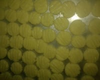 Biscoito de leite condensado e coco fácil