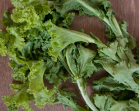 Como recuperar folhas murchas e evitar o desperdício