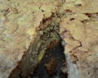 Torta de maçã rápida