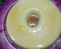 Pudim de leite condensado gelado