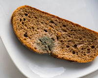 Existe um lugar na cozinha que com certeza vai estragar o pão: "O pão não deve, de jeito nenhum, ser armazenado em..."