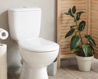 Eu colocava plantas em toda casa, até que aprendi que nunca devo colocar nesses 3 lugares e aqui estão os motivos