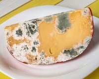 Pode cortar o mofo do queijo e comer o resto? Saiba quais tipos você pode salvar e quais devem ir direto para o lixo