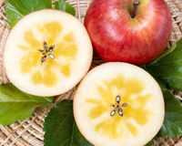 Safra de maçã brasileira surpreende com fenômeno natural que deixa a fruta mais doce