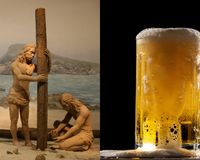 Os humanos gostam de cerveja.  A grande questão é se gostamos o suficiente para termos inventado a agricultura