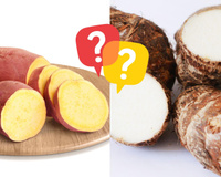 Quais são as principais diferenças entre batata-doce e inhame?