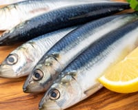 Gosta de sardinha fresca? Essas são as 5 dicas para escolher bem na feira e ter receitas mais saborosas