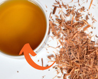 Chá de catuaba é afrodisíaco e estimulante: conheça outros 5 benefícios da planta medicinal, como fazer a bebida e que horas tomar