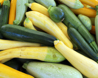 Tipos de abobrinha: conheça as diferenças entre eles