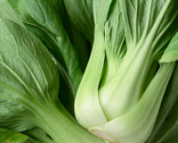 O vegetal rico em cálcio e vitamina K: recomendado para pessoas com mais de 60 anos, mas pouco conhecido