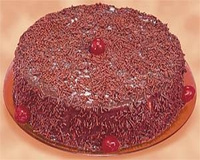 Bolo cremoso de chocolate e coco