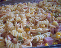 Macarrão gelado de frango