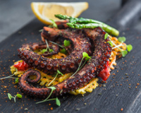 Benefícios do polvo para a saúde: confira