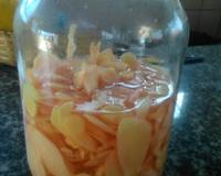 Conserva de Gengibre (Shoga Gari)