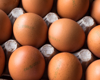 O detalhe que faz toda a diferença ao escolher ovos no mercado