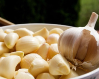 Ele combate e previne muita coisa no seu corpo: descubra os benefícios do alho