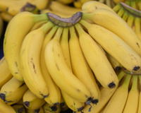 As bananas parecem todas iguais, mas os benefícios são diferentes: qual banana é a melhor para a sua alimentação?