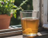 O que significa colocar um copo com vinagre de maçã na janela? Minha avó fez isso a vida toda, já virou truque de família!