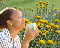 A planta comum nos jardins que é cheia de benefícios, mas ignorada pela maioria das pessoas