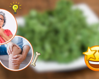 O vegetal milagroso repleto de colágeno que ajuda a memória e fortalece os ossos