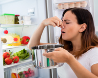 Cheirar a comida para saber se está estragada funciona mesmo? Ciência diz que não! Descubra agora como identificar!