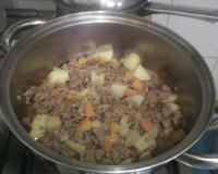 Carne moída refogada com legumes