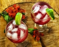 Gin com xarope de cranberry