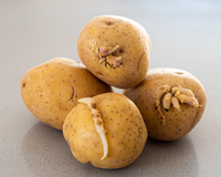Você provavelmente está guardando batatas no lugar errado, mas o TudoGostoso pode te ajudar: chefs recomendam alho por perto e cebola bem longe