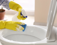 Nada de produto químico: receitinha caseira para limpar o vaso sanitário com ingredientes simples é a solução não tóxica para o seu banheiro
