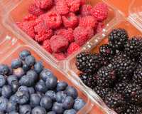 Aprenda a conservar e armazenar alimentos na sua casa em diversas ocasiões